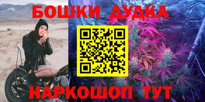 spice Кинель