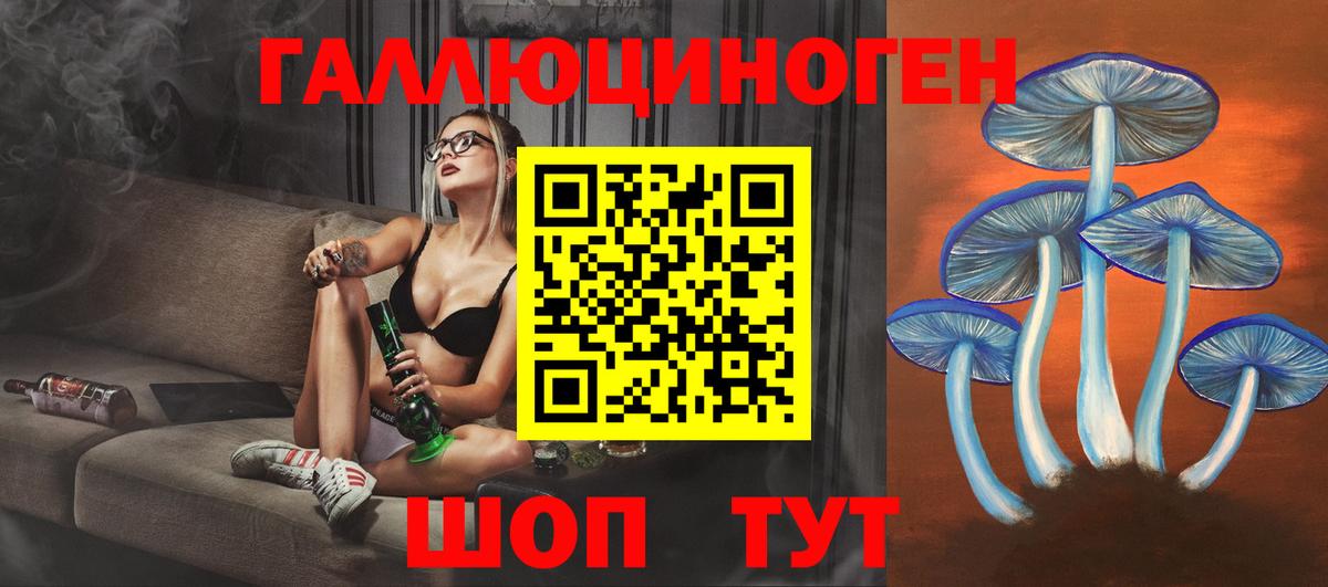 Комсомольск-на-Амуре  Псилоцибиновые грибы прущие грибы  Вход с VPN 