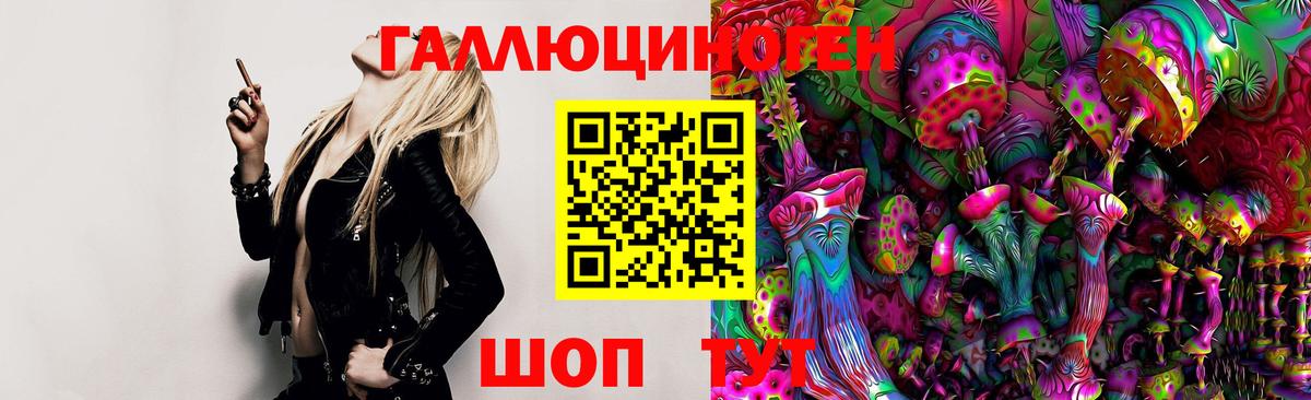 Галлюциногенные грибы GOLDEN TEACHER Комсомольск-на-Амуре